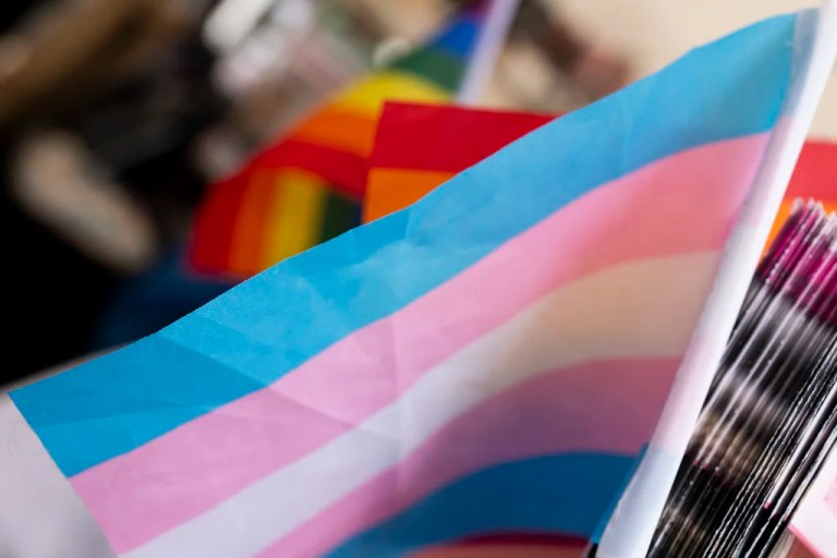 A transgender pride flag is displayed at a booth during Portland Pride.