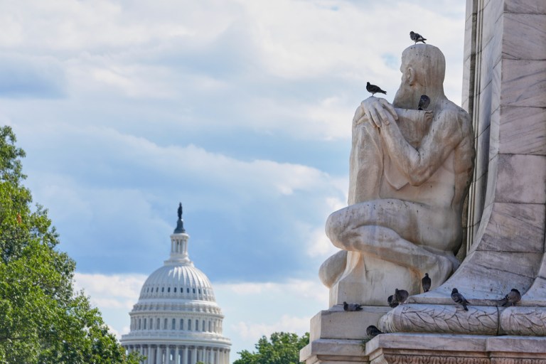Pigeons sit on a fountain with the Capitol building in the background.