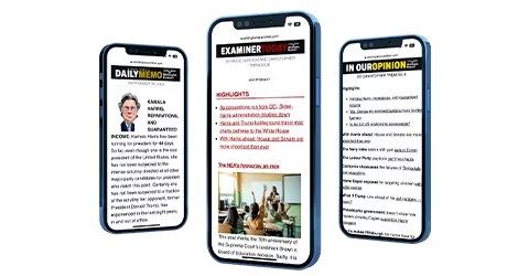 Newsletters
