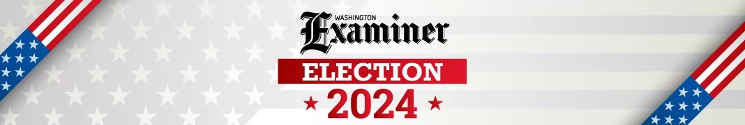 Election 2024