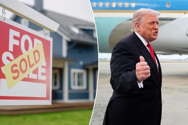 Trump and housing collage