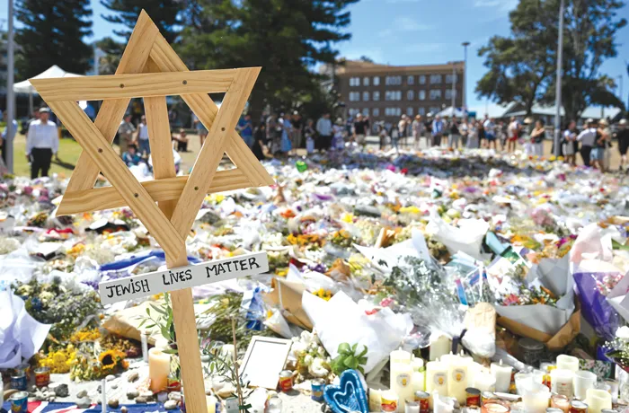 Australia’s gun buyback is the wrong response to Bondi Beach massacre