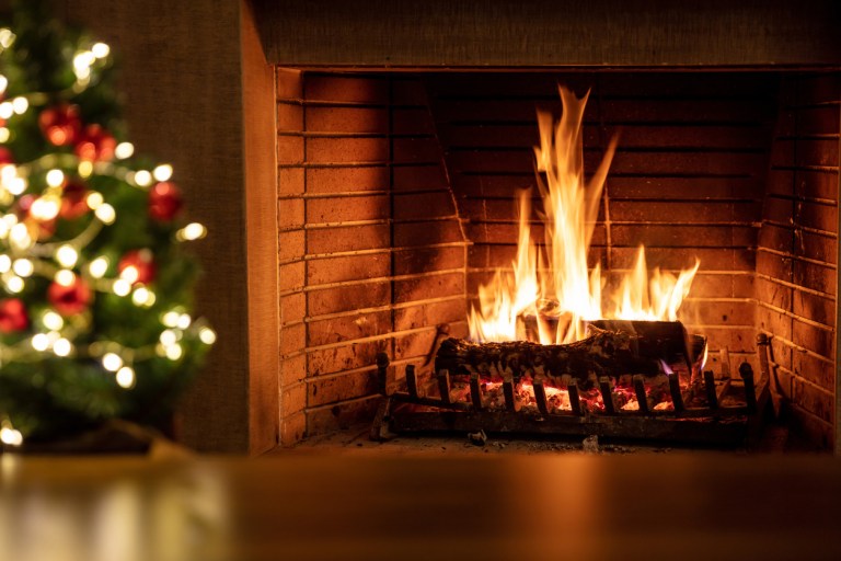 Christmas tree and burning fireplace, bonfire fire flames and festive decoration lights. Cozy living room interior, winter holidays relaxation and warm home