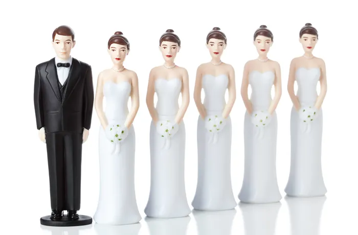 Elite polyamory
