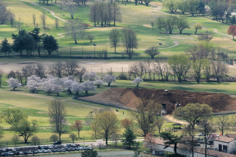 Cherry blossoms bloom amid construction at the East Potomac Links Golf Course.