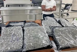 While inspecting baggage being loaded onto a London-bound flight, CBP officers discovered multiple black vacuum-sealed bags inside two checked bags. (CBP)