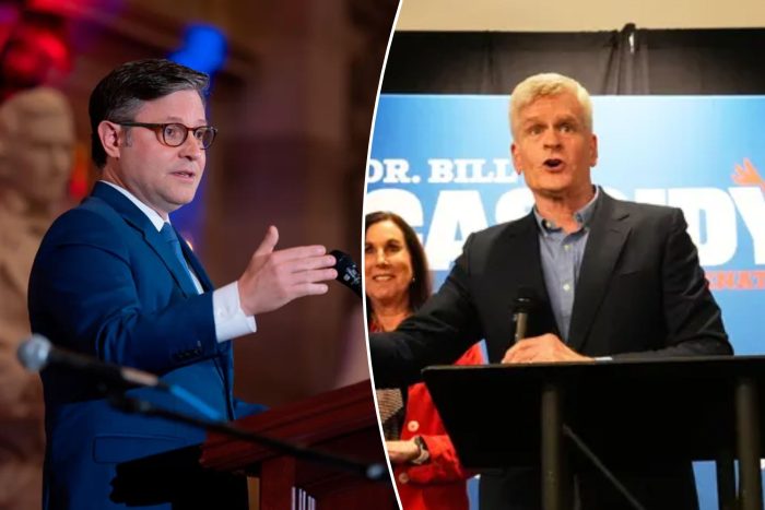 Mike Johnson and Bill Cassidy