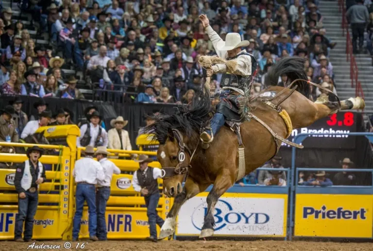 Photo Credit: National Finals Rodeo, Andersen