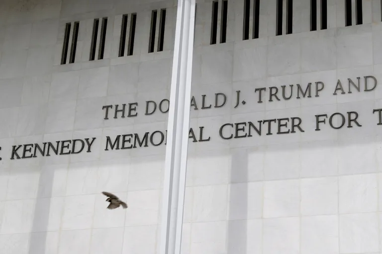 A bird takes flight in front of The John. F. Kennedy Center