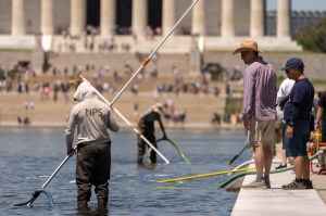 Trump says much of water in Reflecting Pool likely to be drained: ‘Necessary repairs’