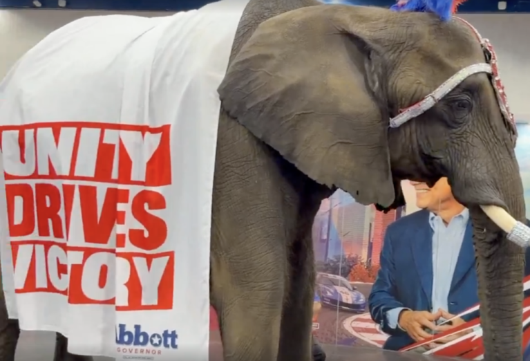 An elephant named Paige at the 2026 Republican Party of Texas Convention in Houston, Texas.