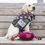 Who let the dogs out? Washington Commanders ready for new season with team dog