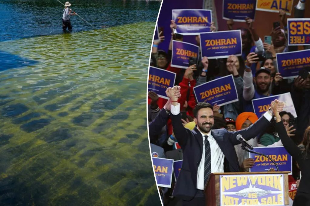 From algae to socialism, Democrats have jumped the shark