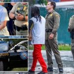 Border Patrol arrests in Florida quietly surge
